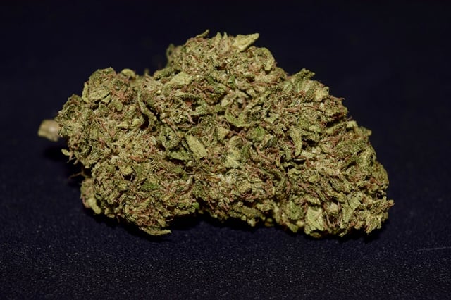 Game Changer (Sungrown)