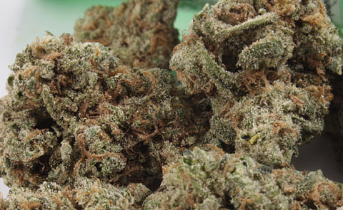 Blue Crack