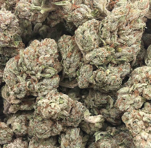 Lemon Pie