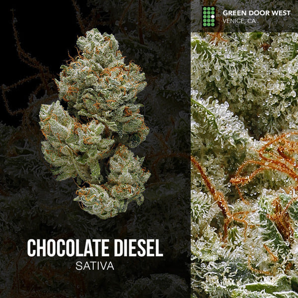 Chocolate Diesel
