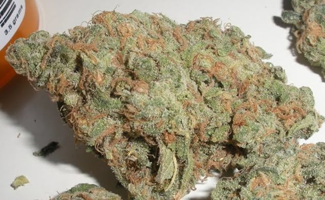 Sour Dream