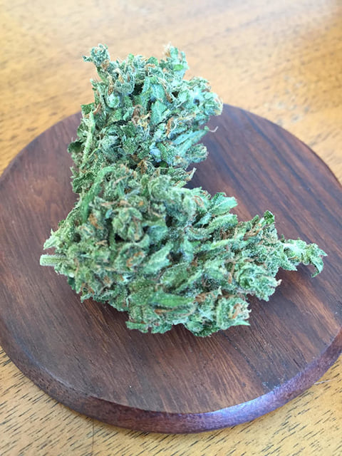 White Rhino