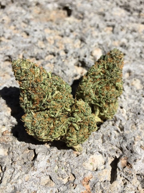 Brutal Farms - Gelato #45