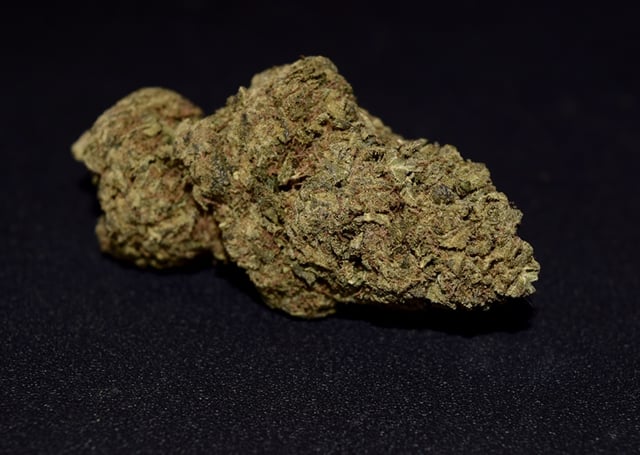 Super Jack (Indoor)