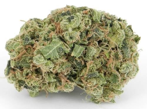 Black Jack