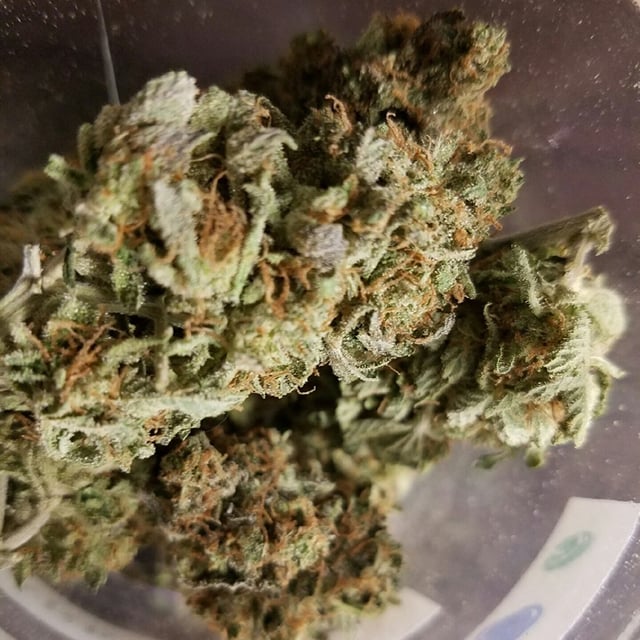 Platinum CheeseCake