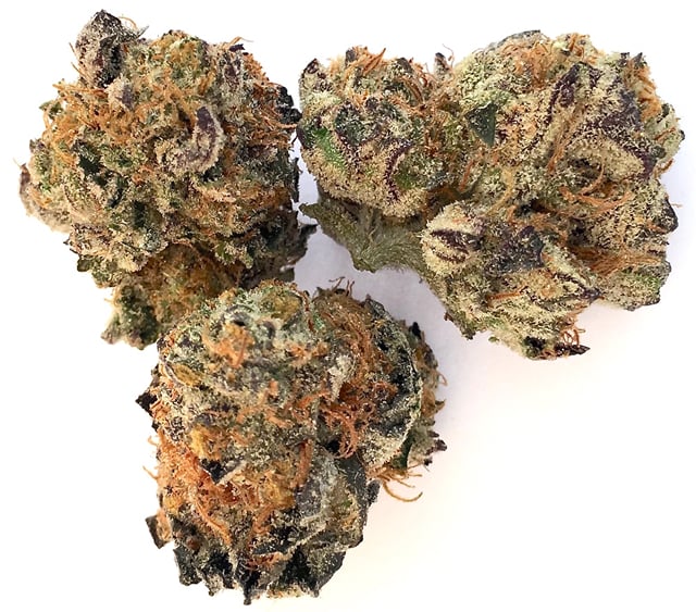Animal Cookies