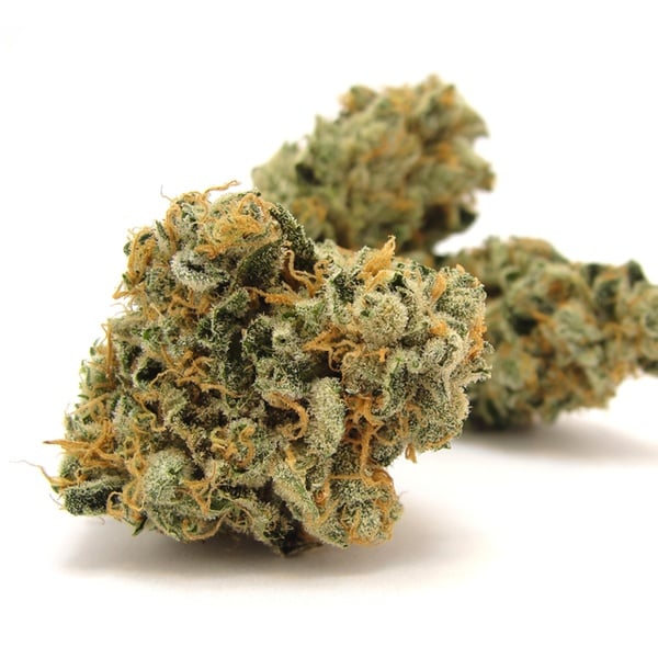 Grape Romulan