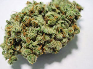 Candy Jack