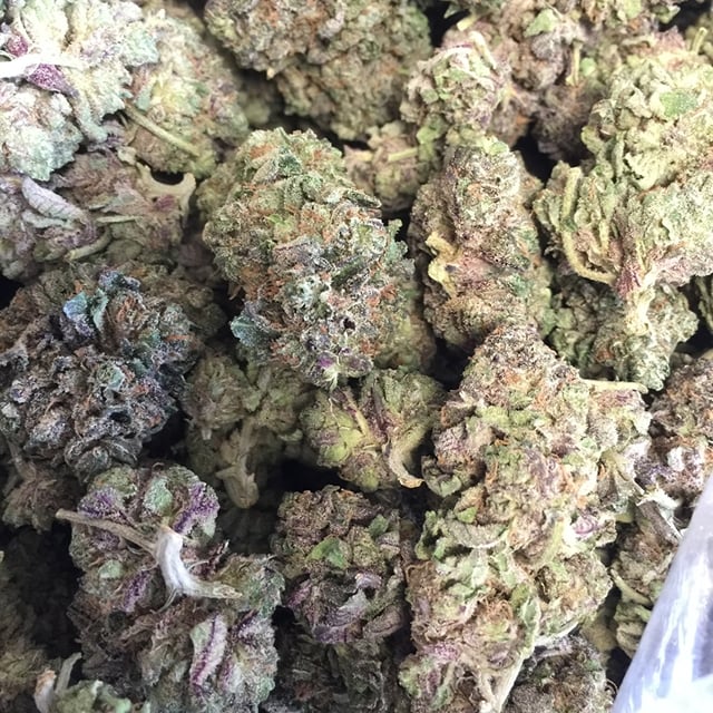 Blue Berry Yum Yum