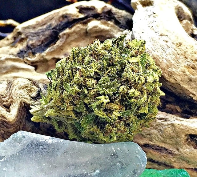 Headband Greenhouse