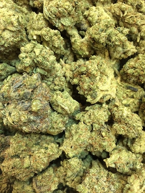 Blue Ribbon