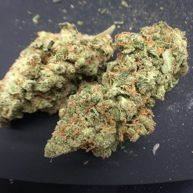 Platinum Jack