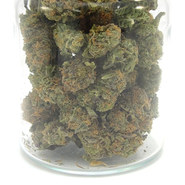Original OG Kush Littles