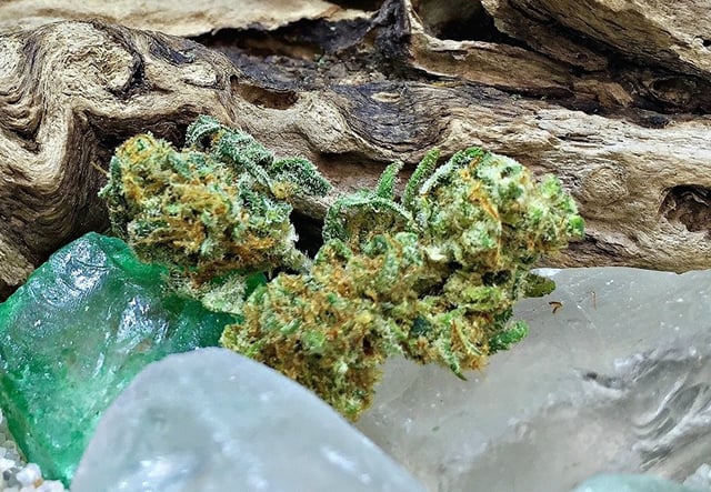 Berry White popcorn