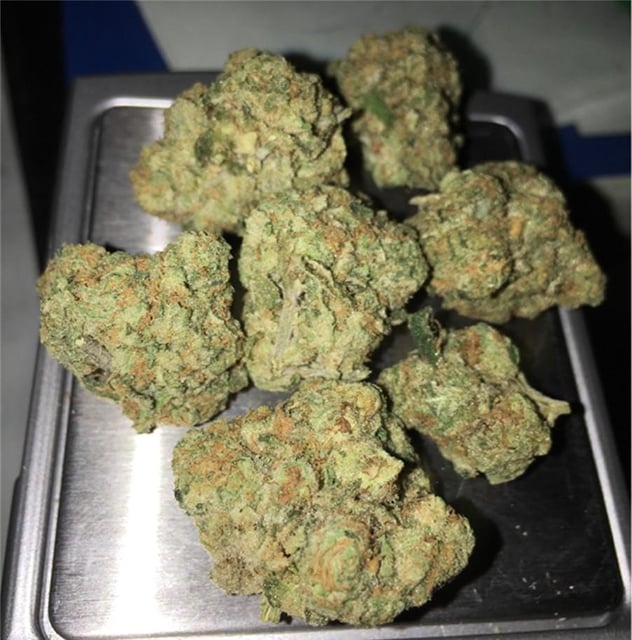 Girl Scout Cookies