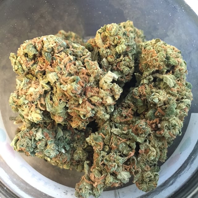 Critical Jack