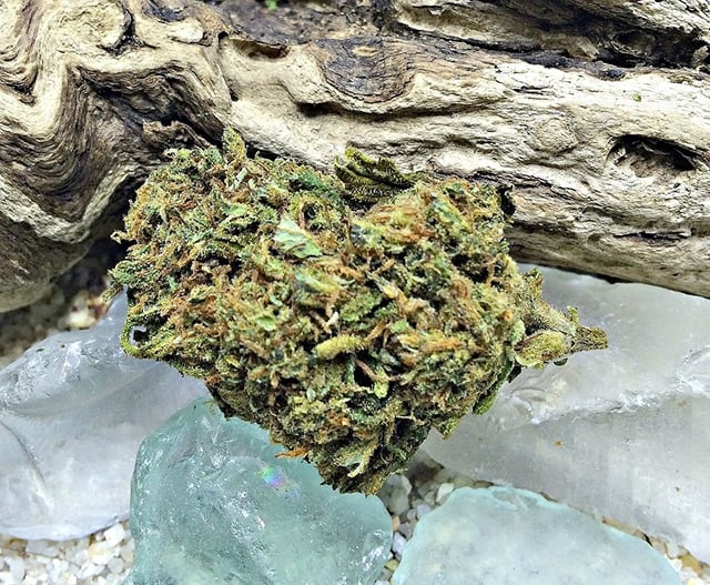 Charlotte's Web (CBD) 2:1