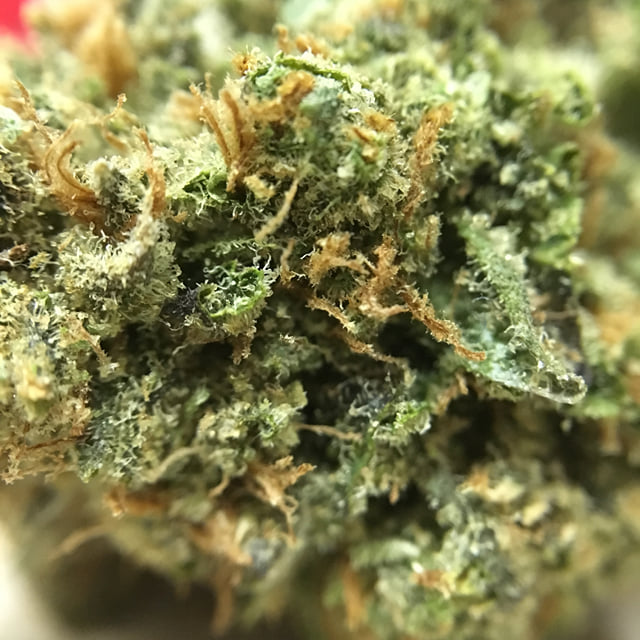 Birthday Cake Kush