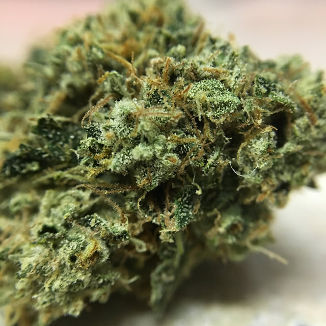 Holy Grail Kush