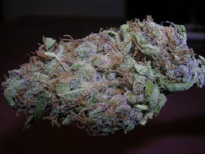 Blueberry Diesel