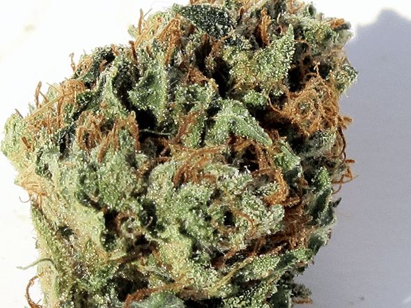 Presidential OG