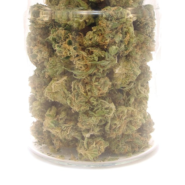 Durban Poison Littles