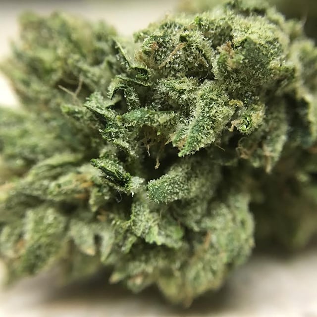 Platinum OG