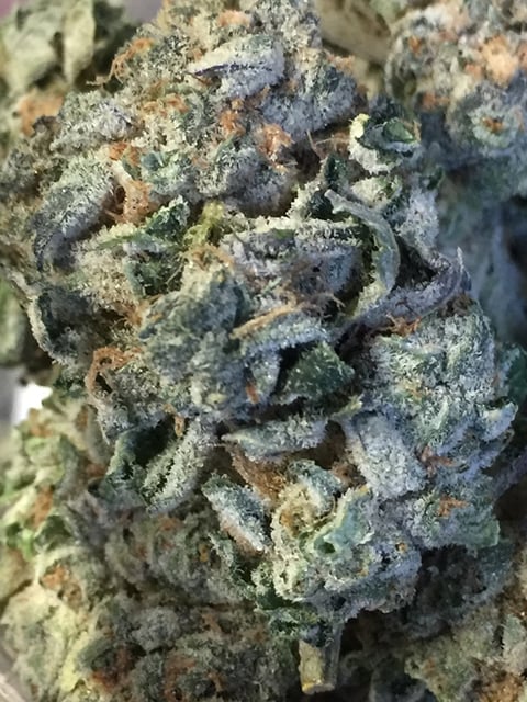CandyLand