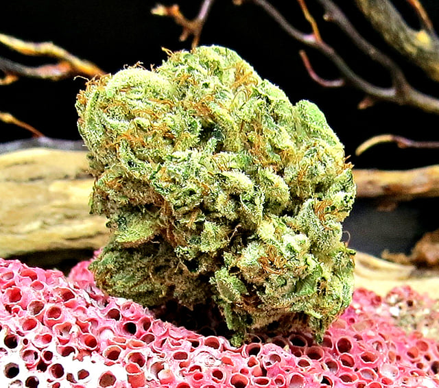 99's Skywalker