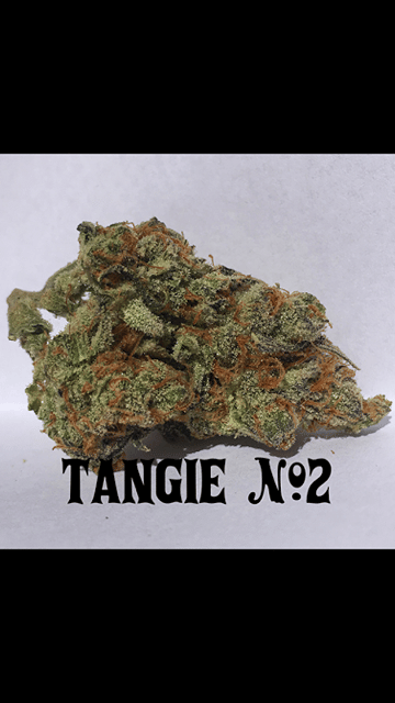 WCF- TANGIE#2 (Indoor-- Top Shelf)