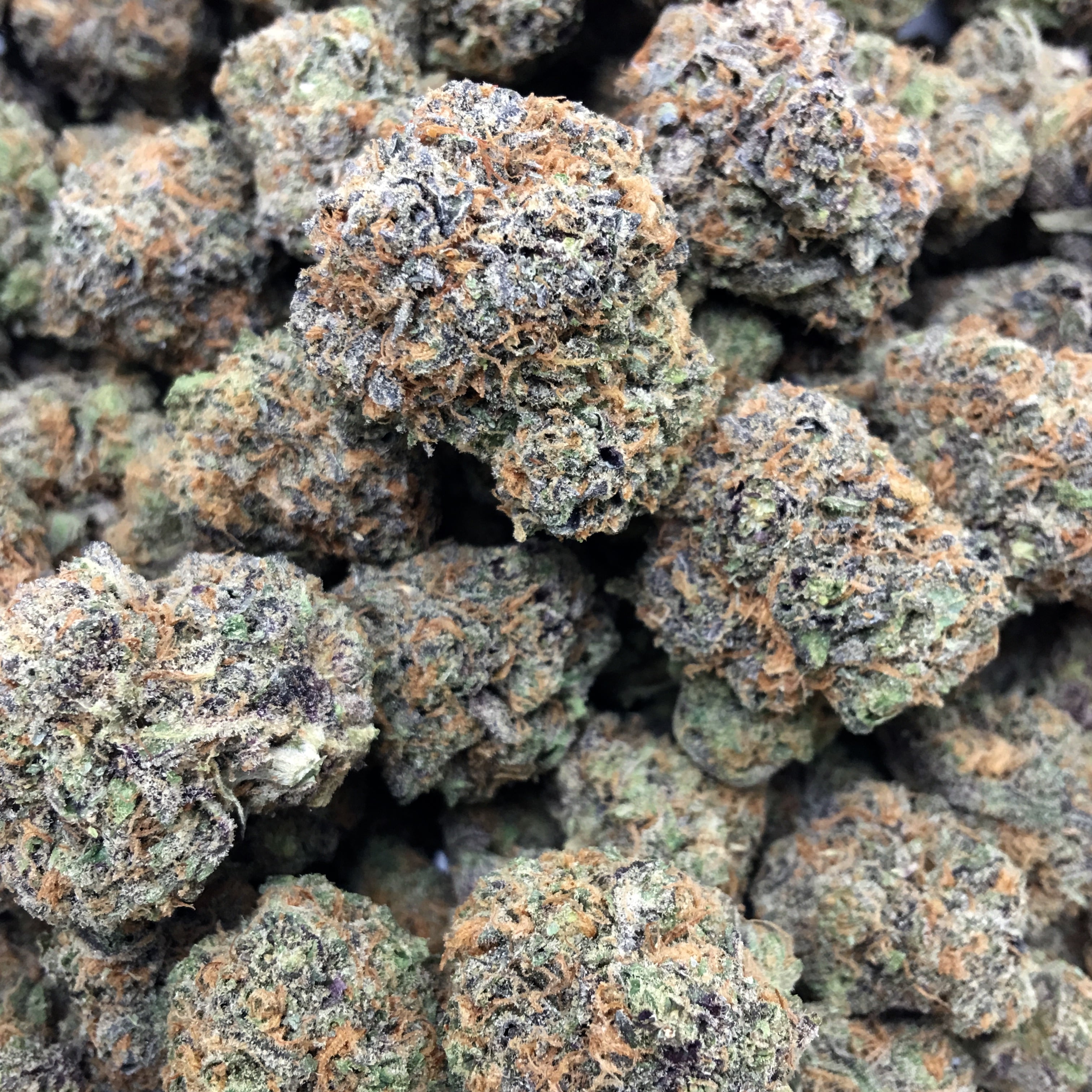 Granddaddy Purple