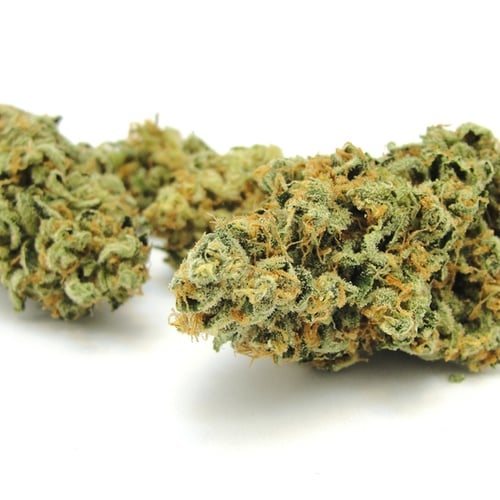 Papaya