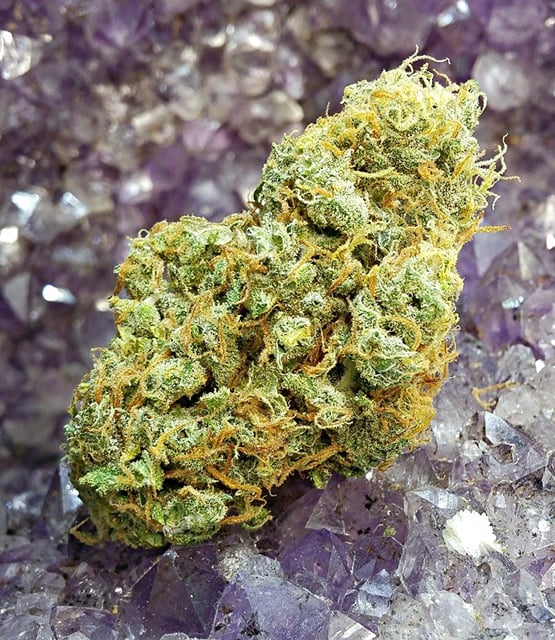 99's Green Goddess