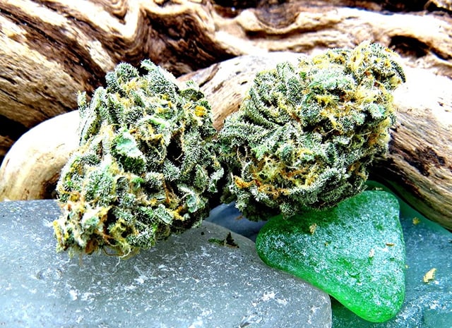 Berry White