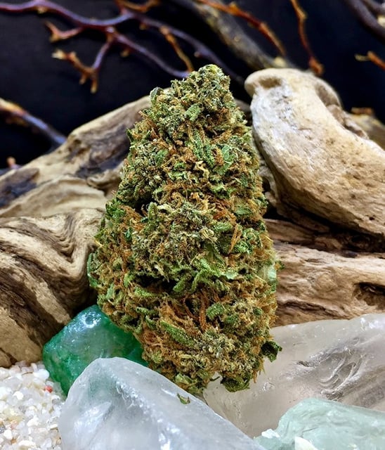 Purple Diesel x Strawberry Cough