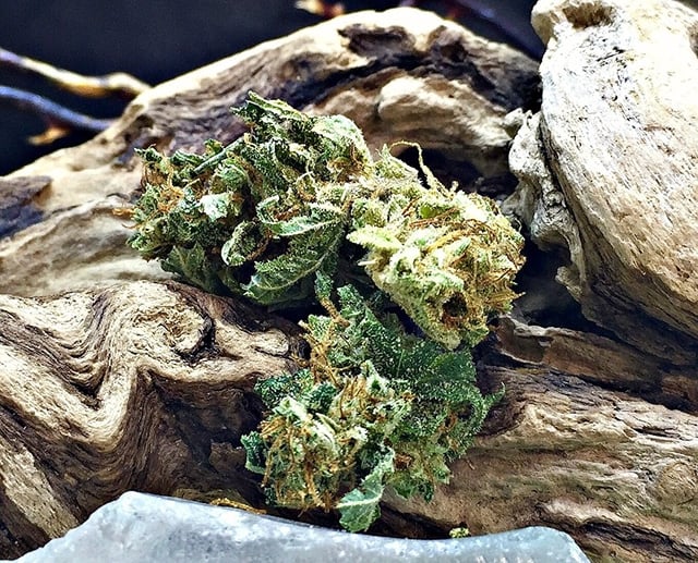 Sour Gorilla Glue popcorn