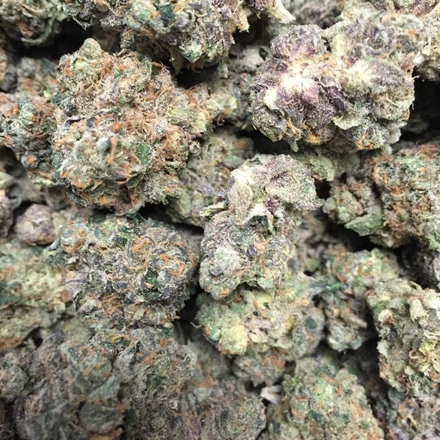 Gelato 33
