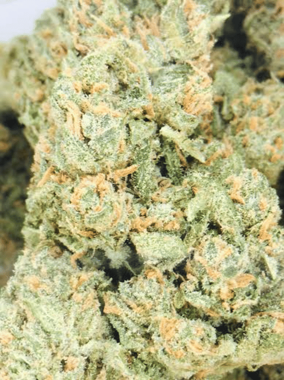 Super Green Crack
