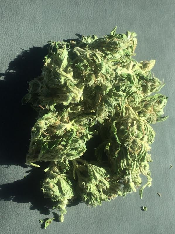 Greenhouse- Sour Diesel
