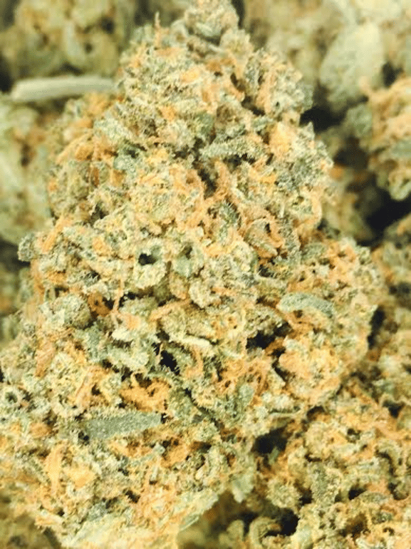 Lemon Crack