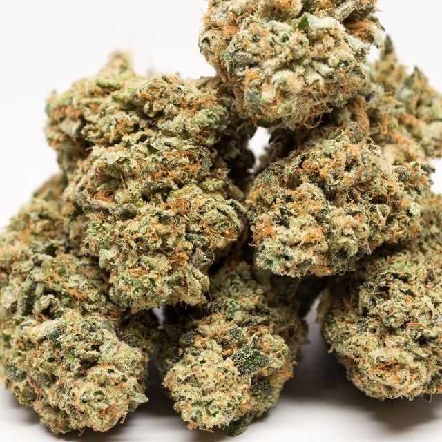 "NEW" White Buffalo