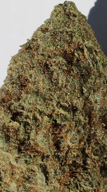 Chiquita Banana - 33% THC -