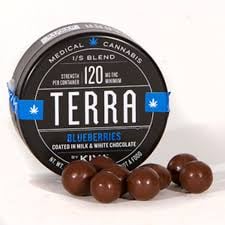 Blueberry Terra Bites