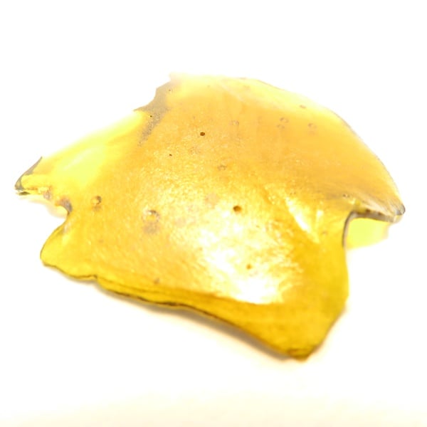 Cookie Monster- Shatter