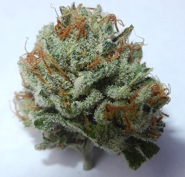 Abusive OG