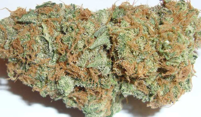 White Berry
