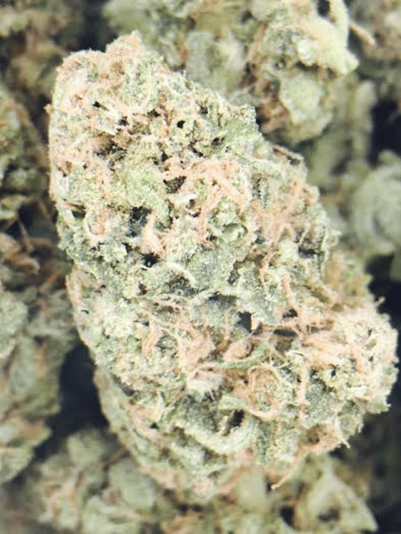 Dutch Crunch