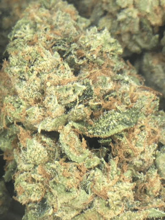 SUPERMAN OG
