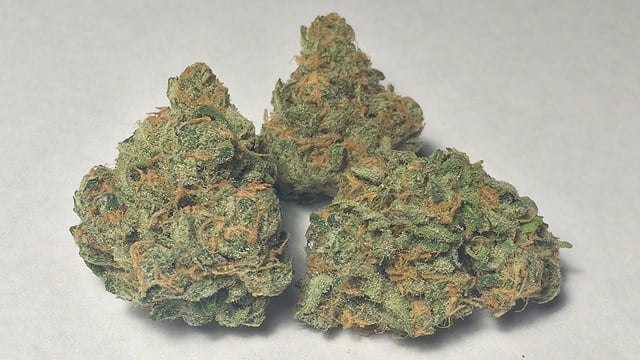 Candy Jack
